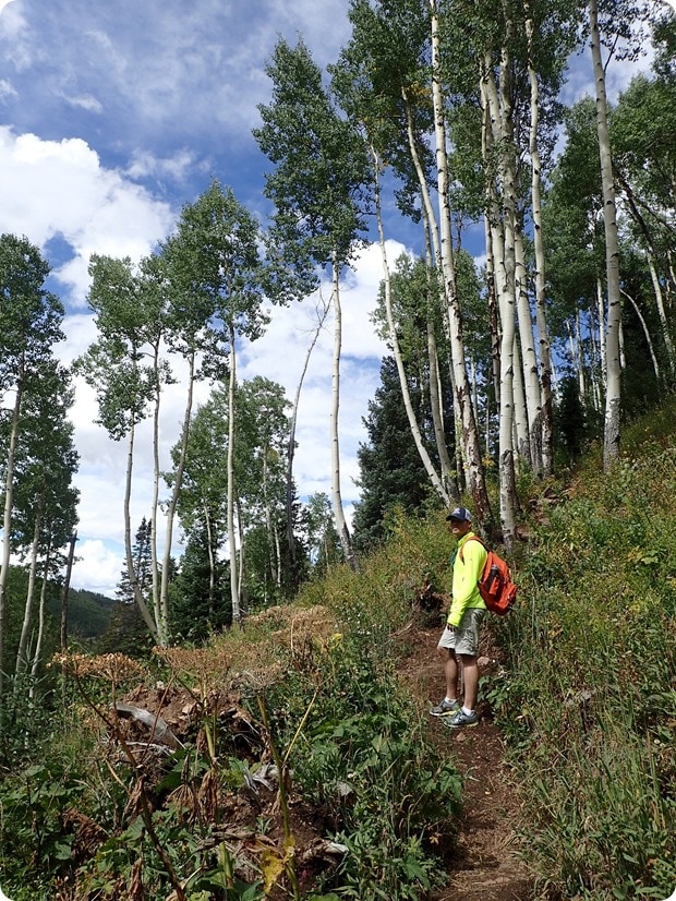 royal elk trail hiking