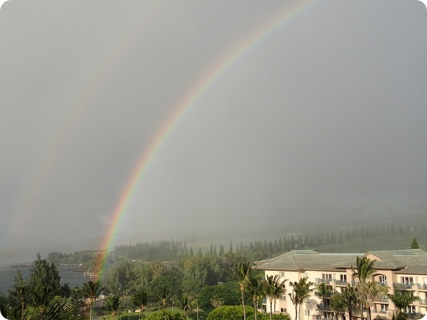 maui rainbow