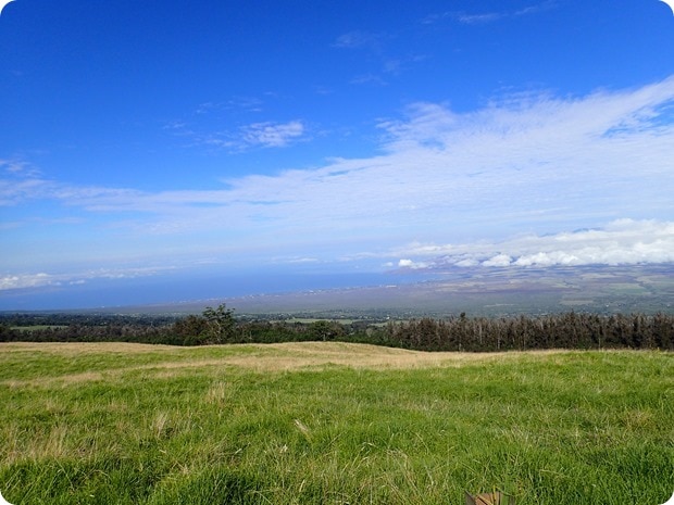 bike down haleakala