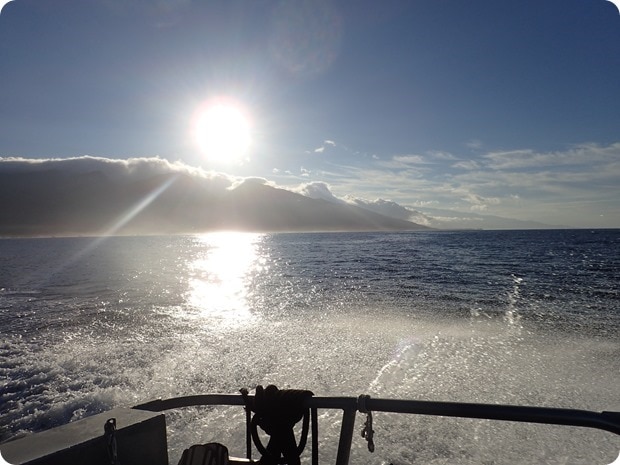 diving extended horizons maui