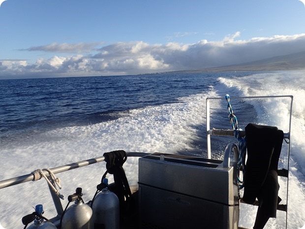 extended horizons maui