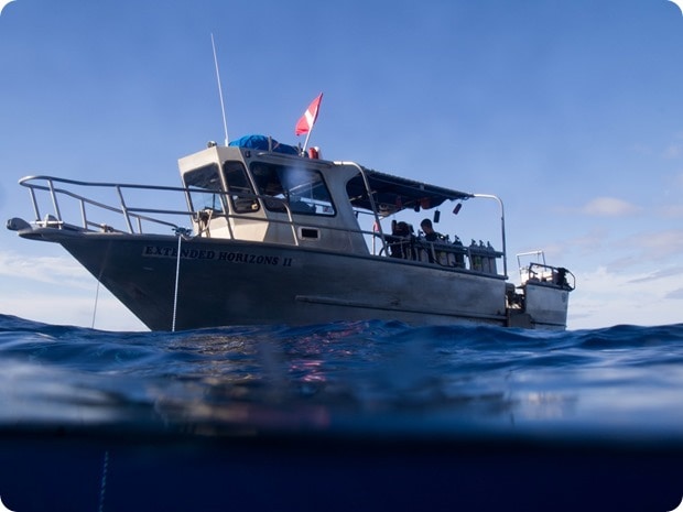 extended horizons diving maui