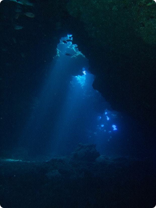 first cathedral dive