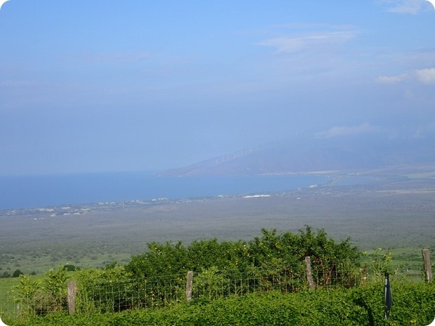 road to hana
