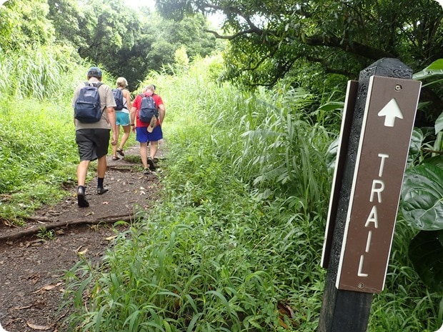 mount haleakala rainforest hiking