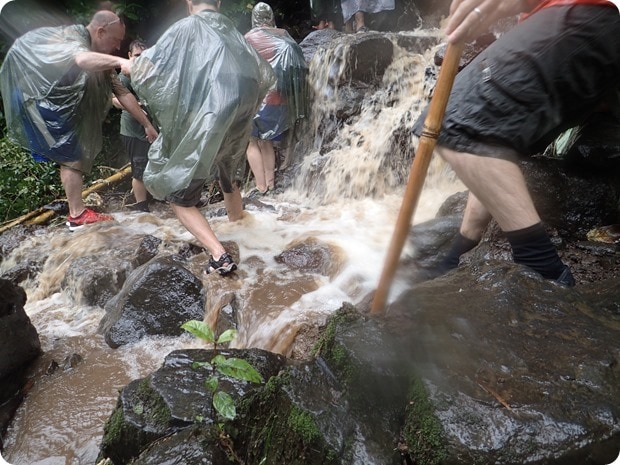 maui rain hike