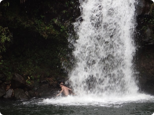maui waterfall swimming