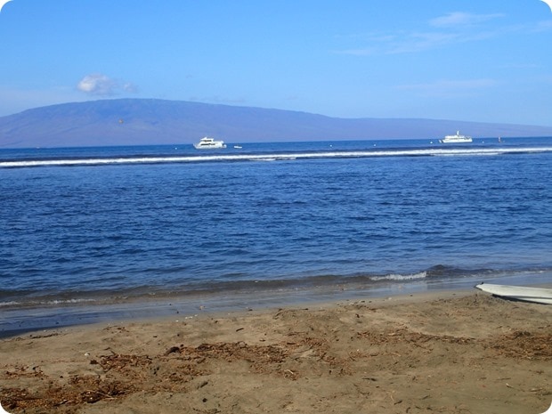 maui surf clinics surfing