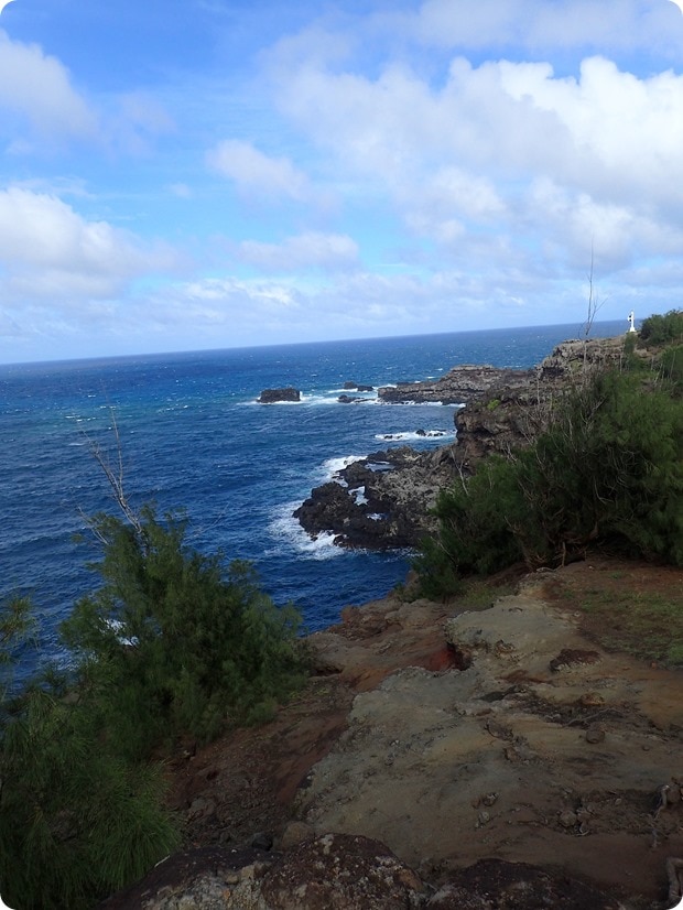 Papanalahoa Point Shoreline drive
