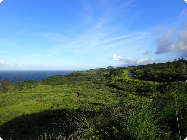 maui rural drive
