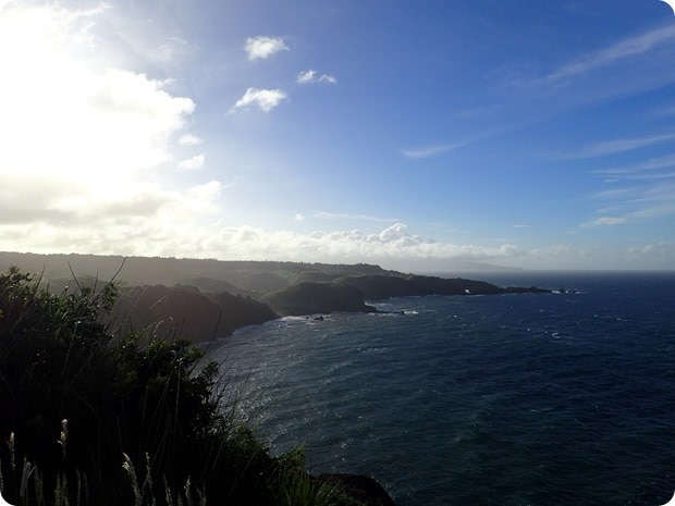 papanalahoa point shoreline