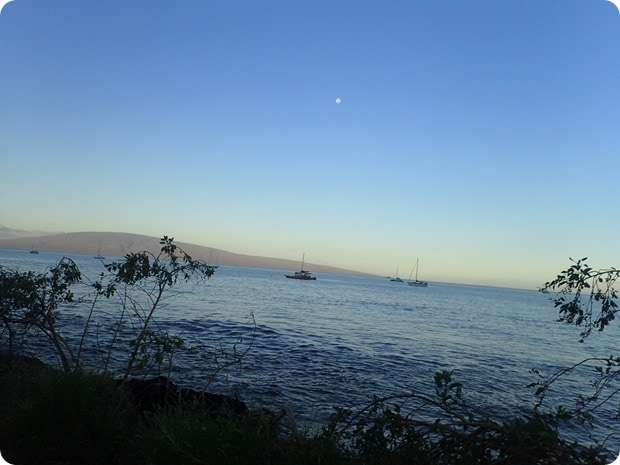 maui half marathon 