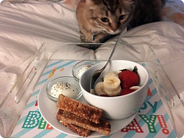 birthday breakfast in bed
