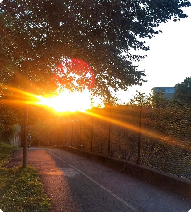sunrise run custis trail VA