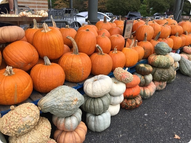 whole foods pumpkins