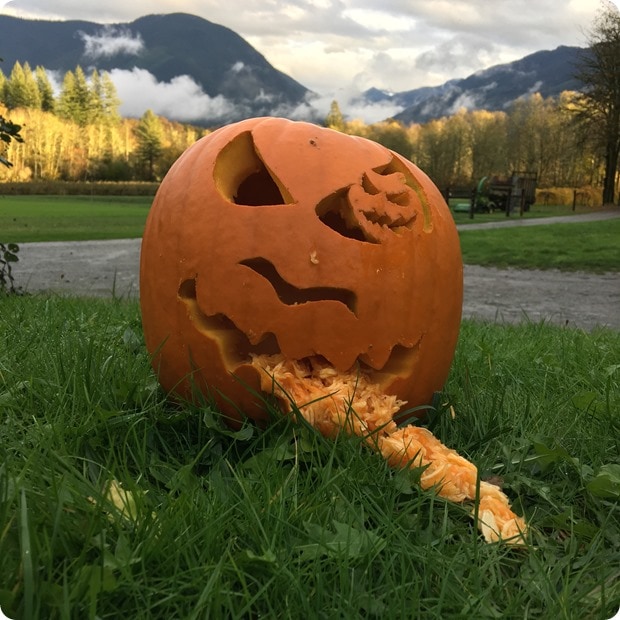cascadian farm pumpkin