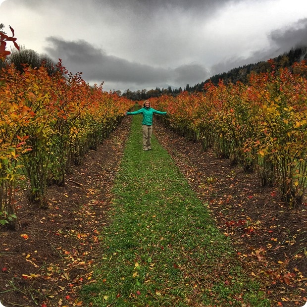 cascadian farm blueberries fall