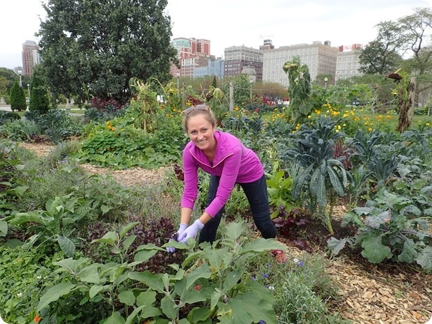 growing power chicago volunteer