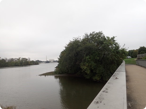 Mt vernon trail running