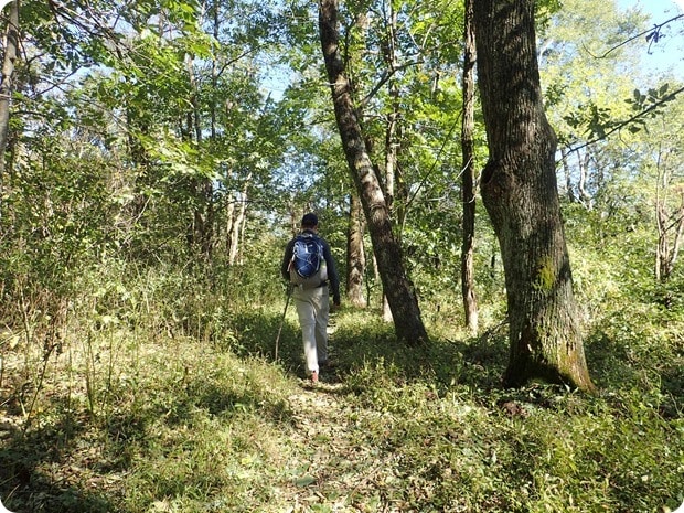 hiking shenandoah national park