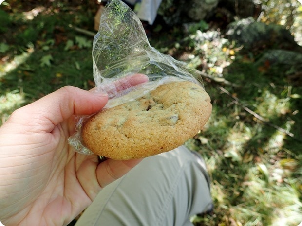 fort lewis lodge cookies