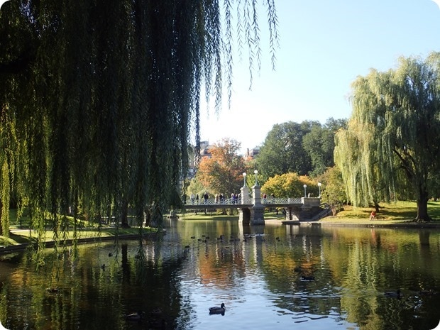 running boston park
