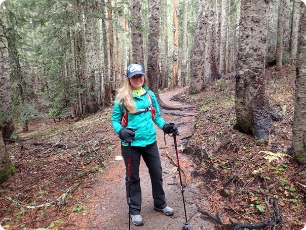 mount st helens summit hike approach