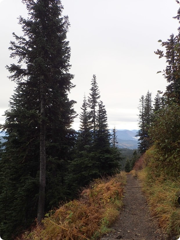 mount st helens climb