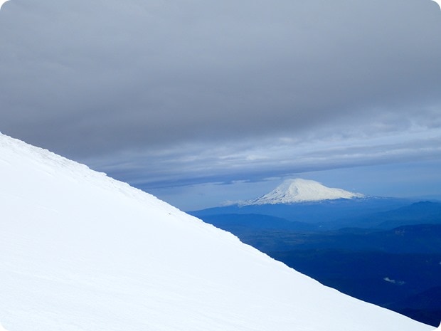 view of mount adams from mt st helens