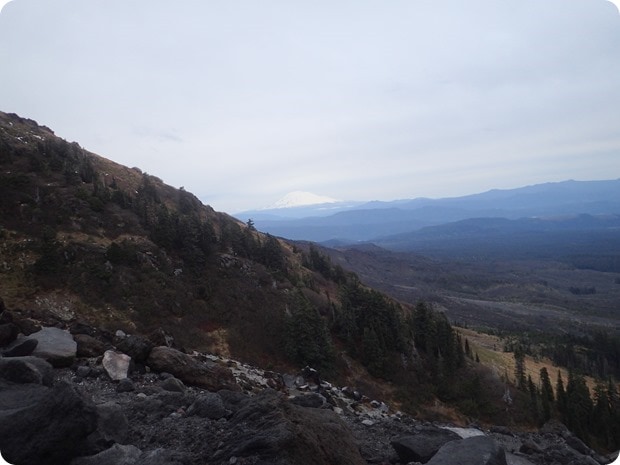 mt st helens hike view
