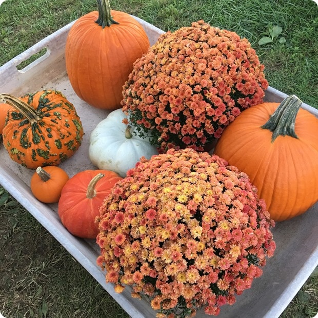 decorate with pumpkins fall