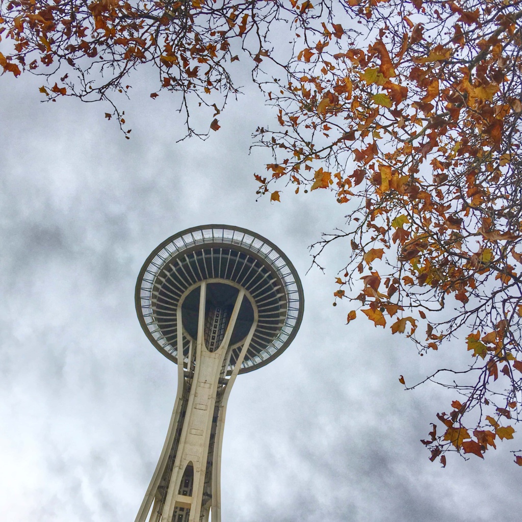Space needle Seattle fall leaves
