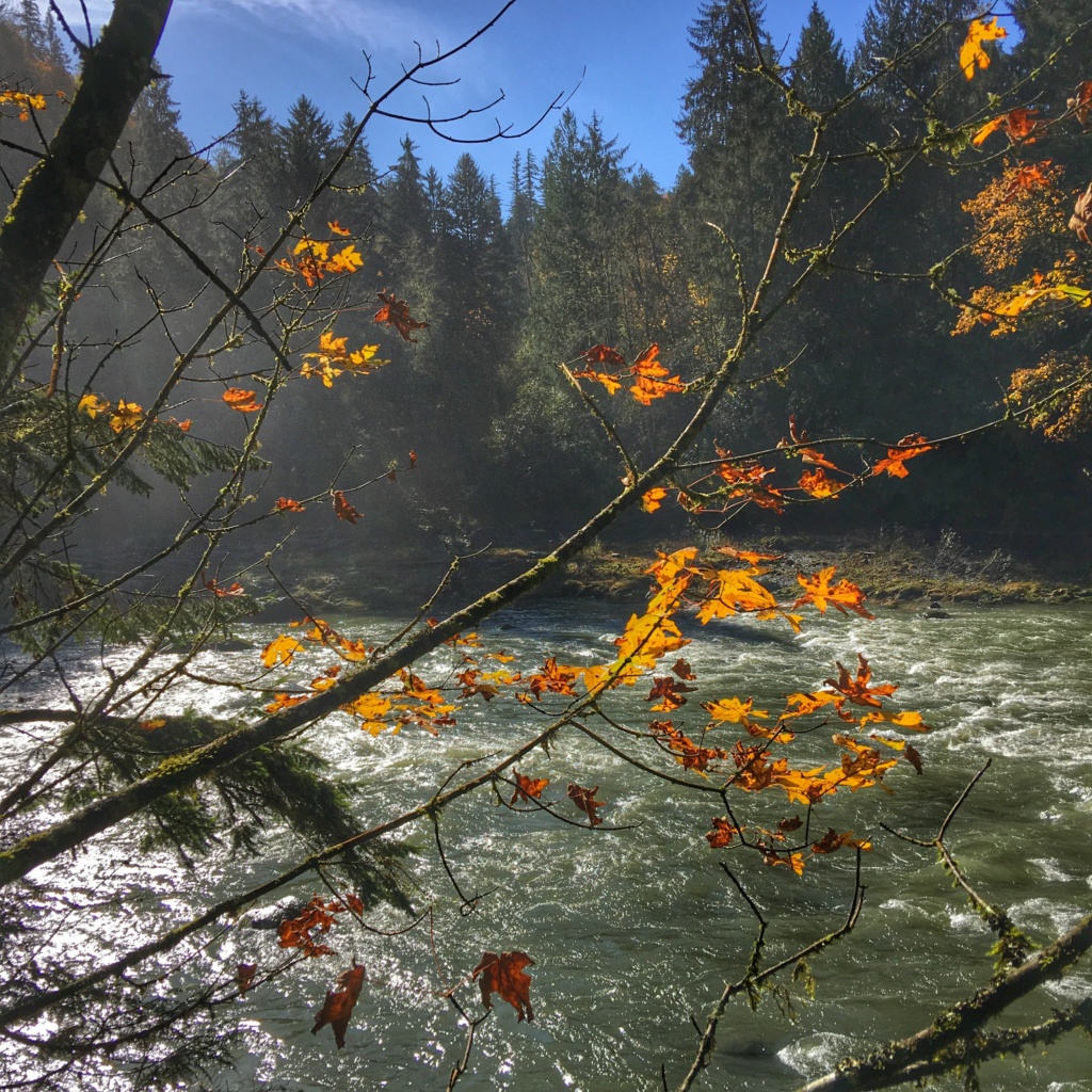 Snoqualmie falls hike fall leaves