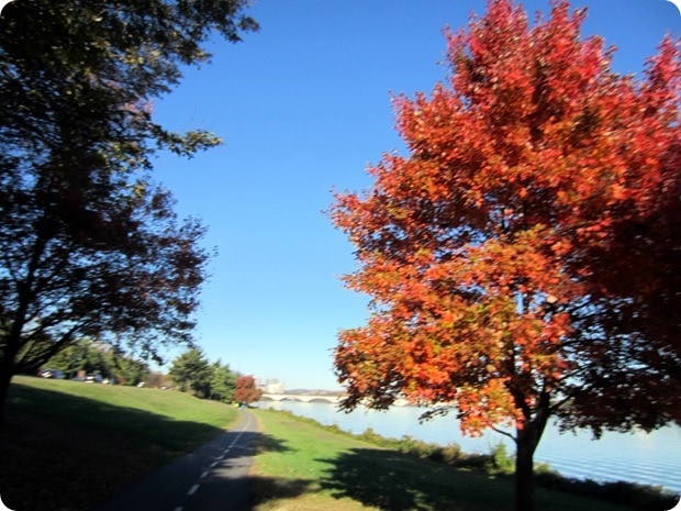 mt vernon trail fall colors