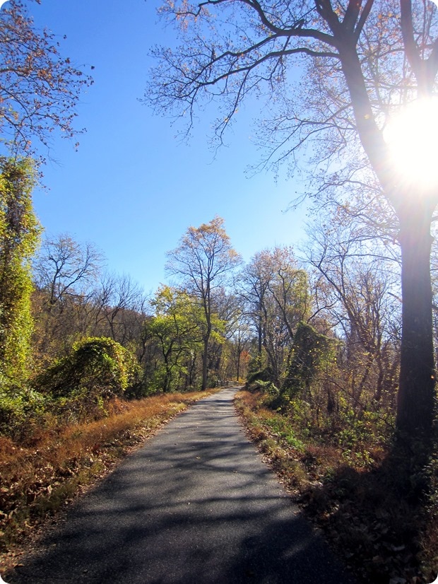 fall running dc