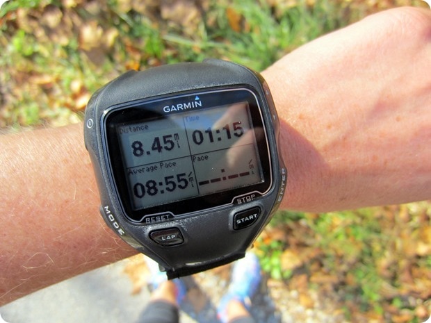 8 mile long run