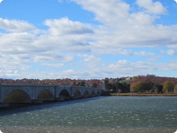 windy day in dc