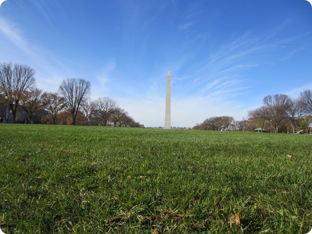 washington monument fresh grass