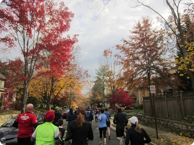 alexandria 5 mile turkey trot