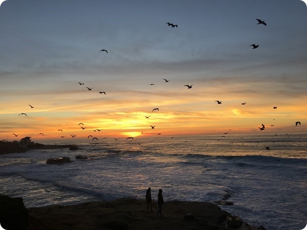 sunset la jolla cove