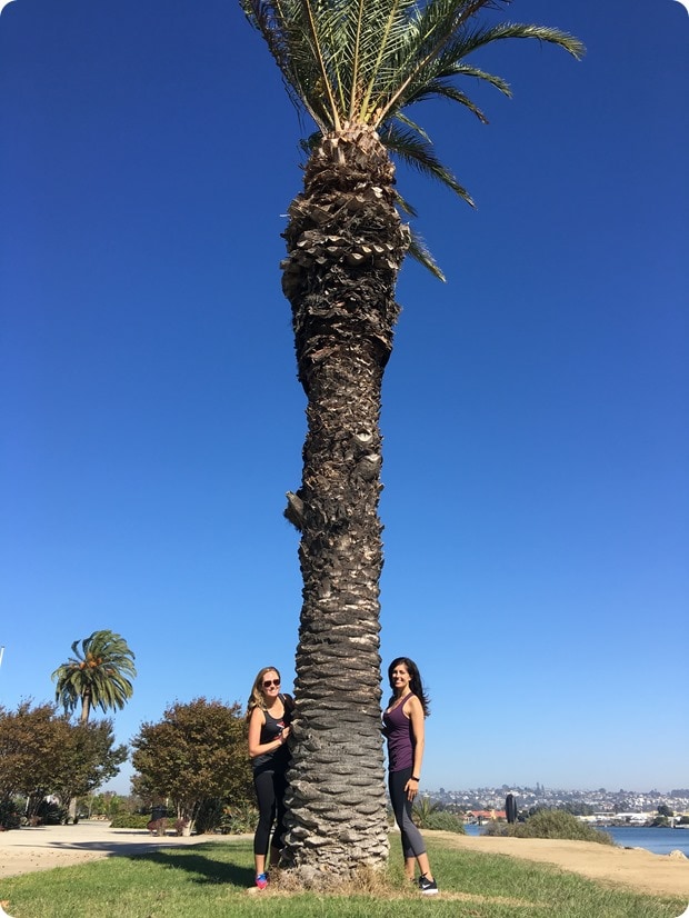 san diego fitnessista