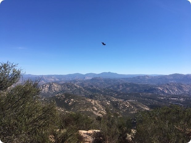iron mountain summit