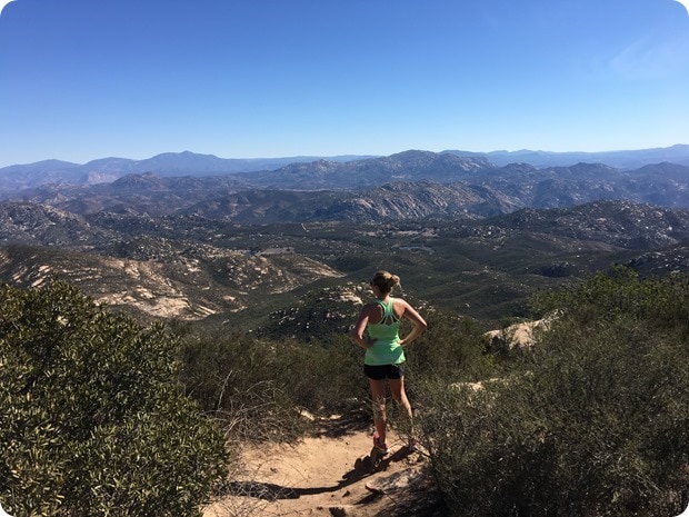 iron mountain summit