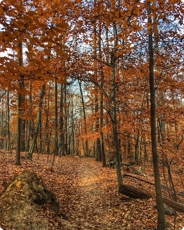 hiking fall sugarloaf mountain