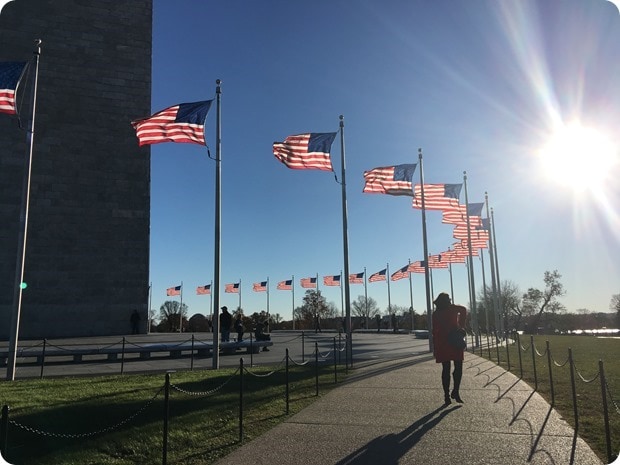 washington monument flags