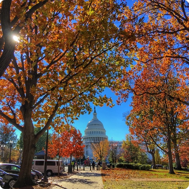 fall DC colors capitol