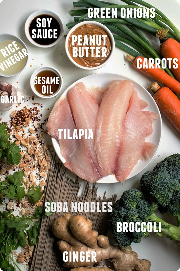 tilapia with peanut sauce ingredients 1 tilapia with peanut sauce ingredients