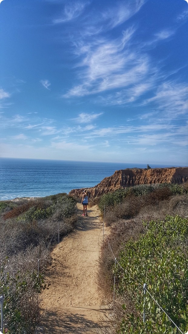 torrey pines hike 2