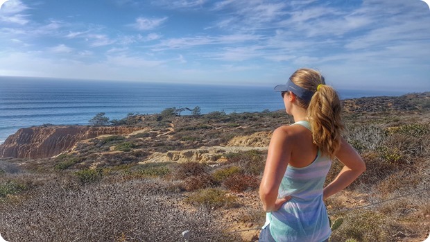 torrey pines hike