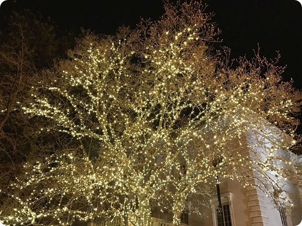 dc christmas decorations